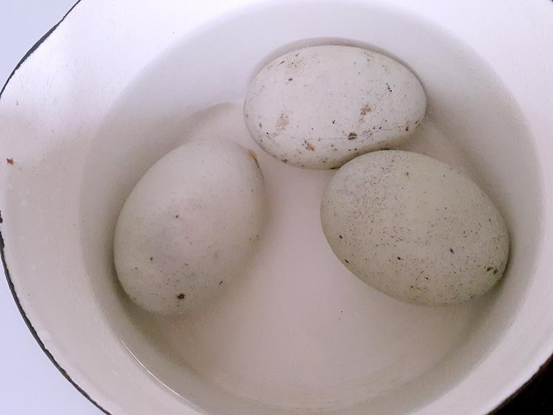 ����Ƥ������������