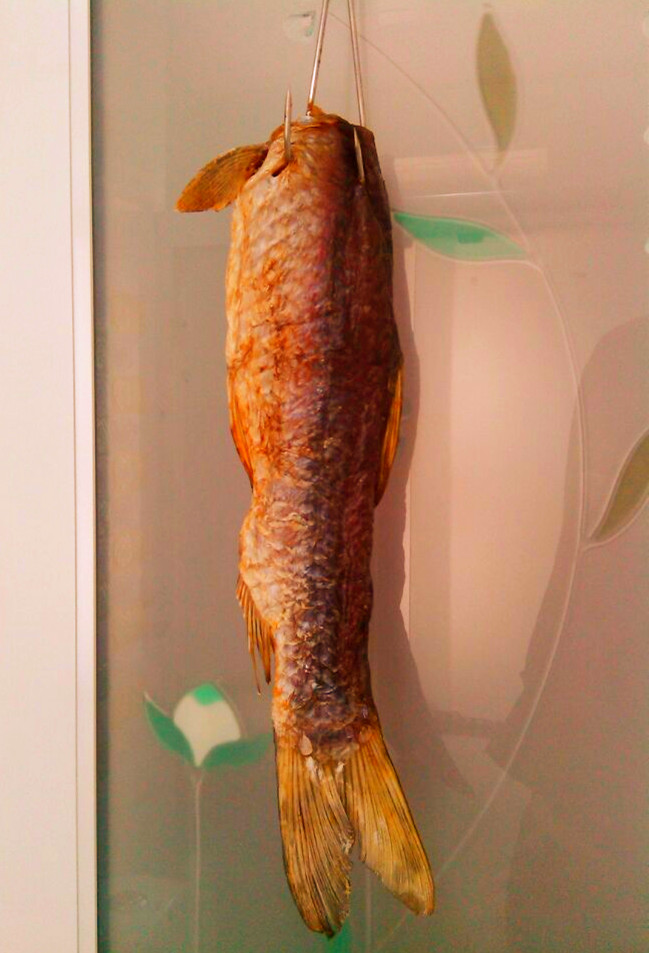 �������������