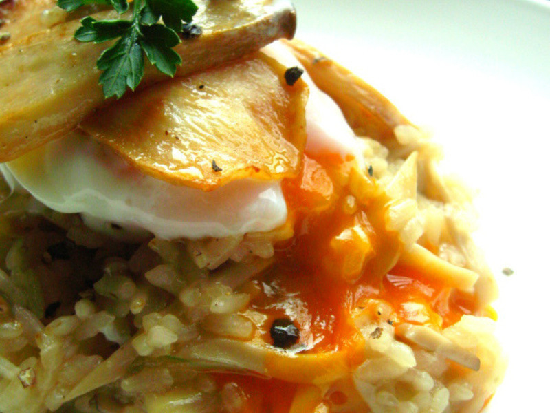 ��Ȫ���ӱ�������������