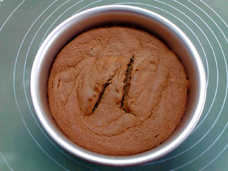 ���Ӫ�������ݷ絰�������