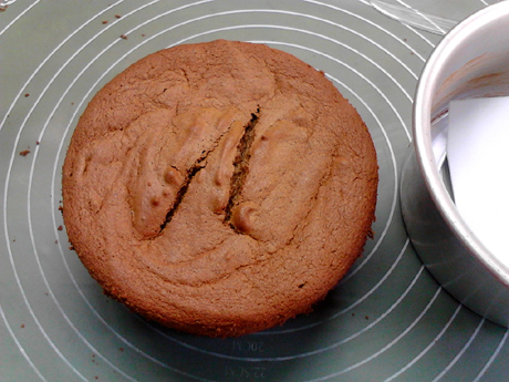 ���Ӫ�������ݷ絰�������