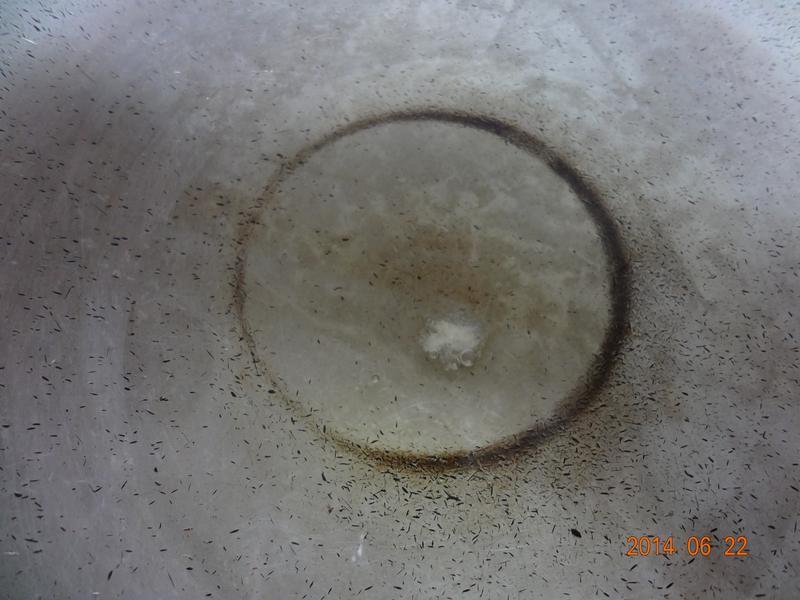 ��ը�����Źǵ�����