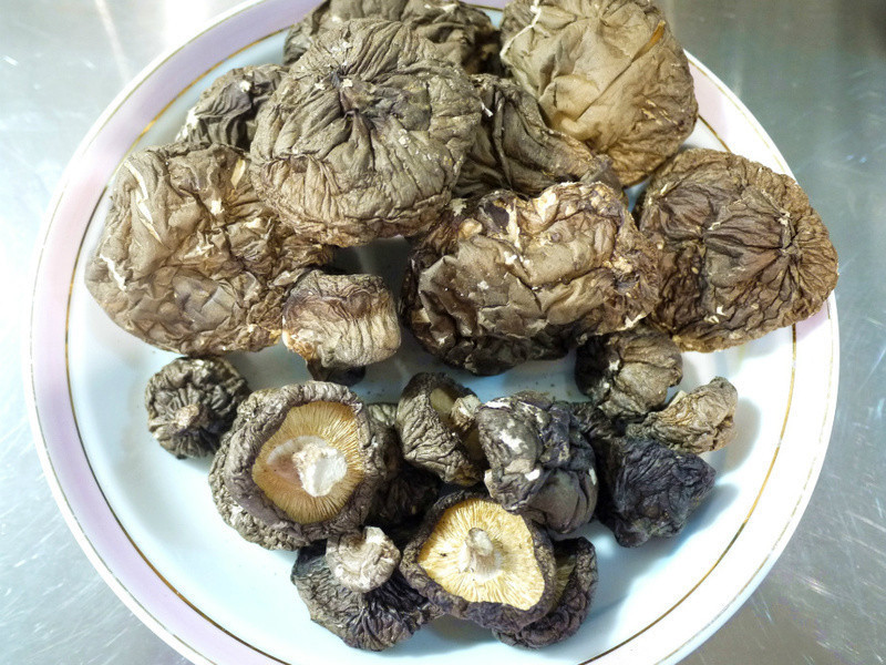 Ԫ���㹽����������