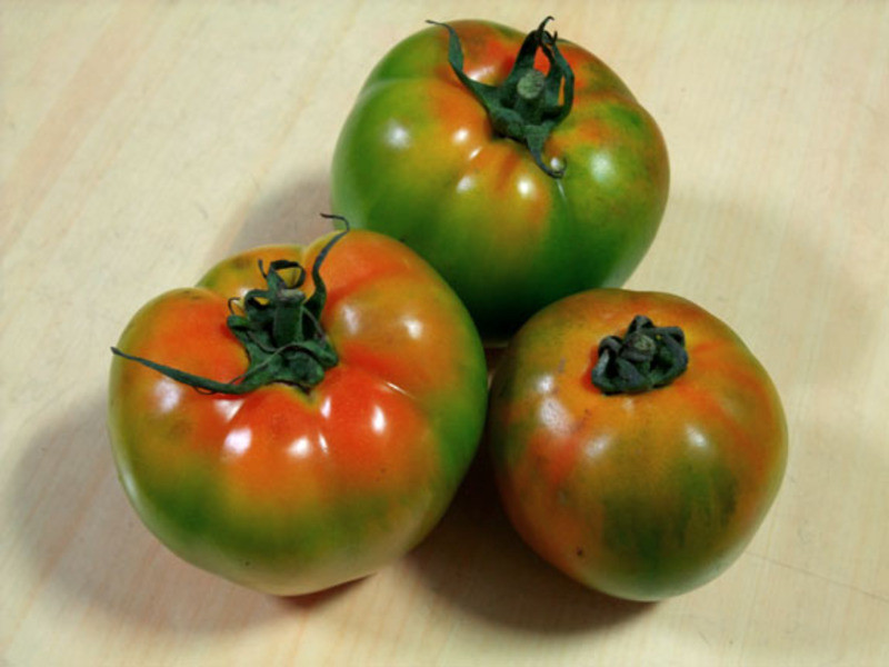 ެ������������ʲݽ��͸������