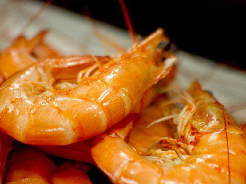 ���հ�Ϻ�����������ѵ�����