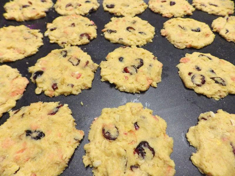 ���������Ƭ���ɵ�����