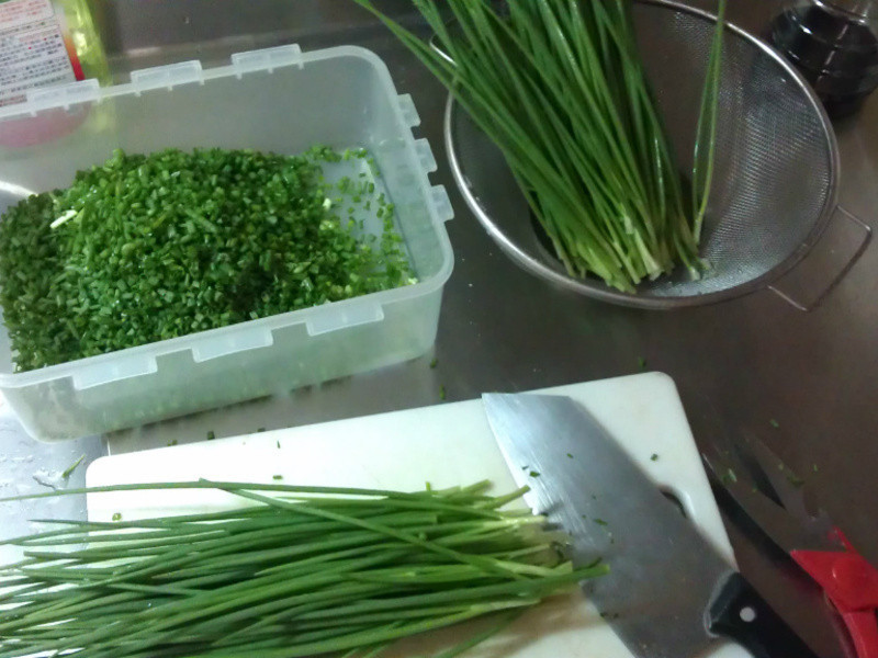 ����������������ץ�������ͱ�������