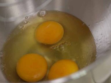 ������ʥ����������