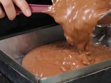 ������ʥ����������