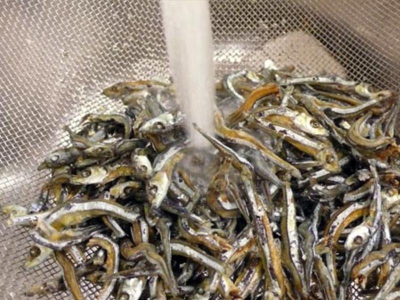 ����С�㳴���� ������������� 8������