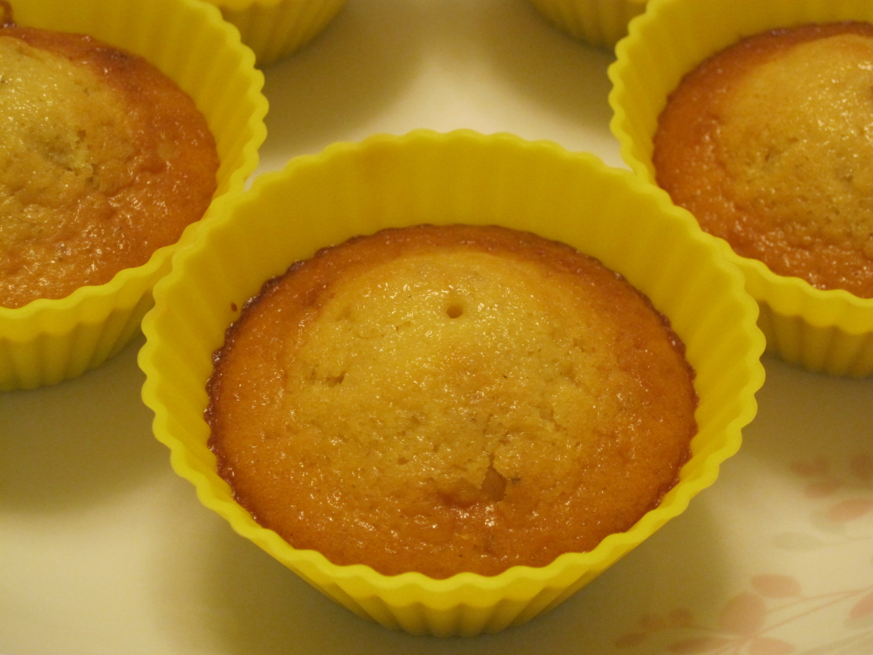 ���֥ʿ���������