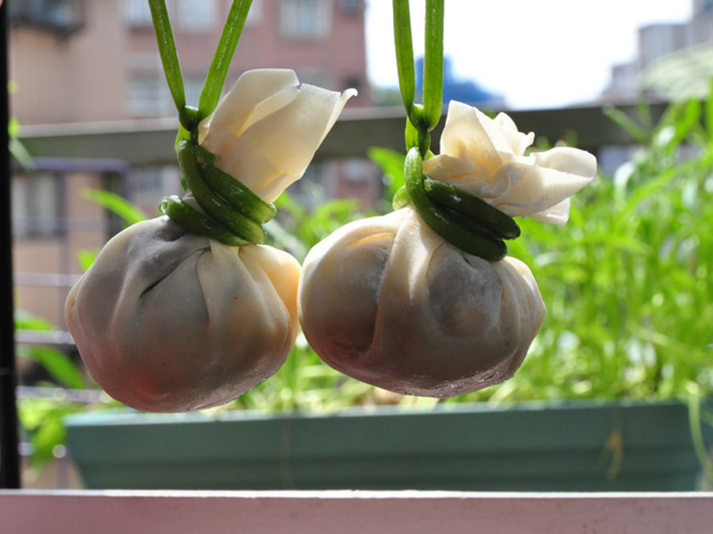 XO������˿������������