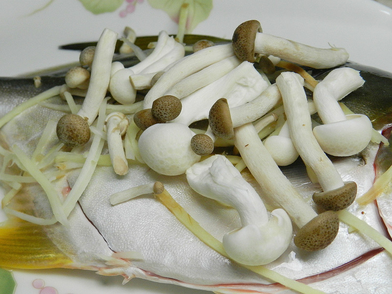 �������������