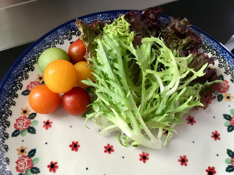 ���ţ�⿧ଵ�����