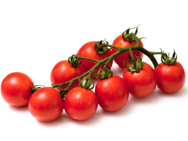 ��ʽ���俨����ɳ��[���������]������