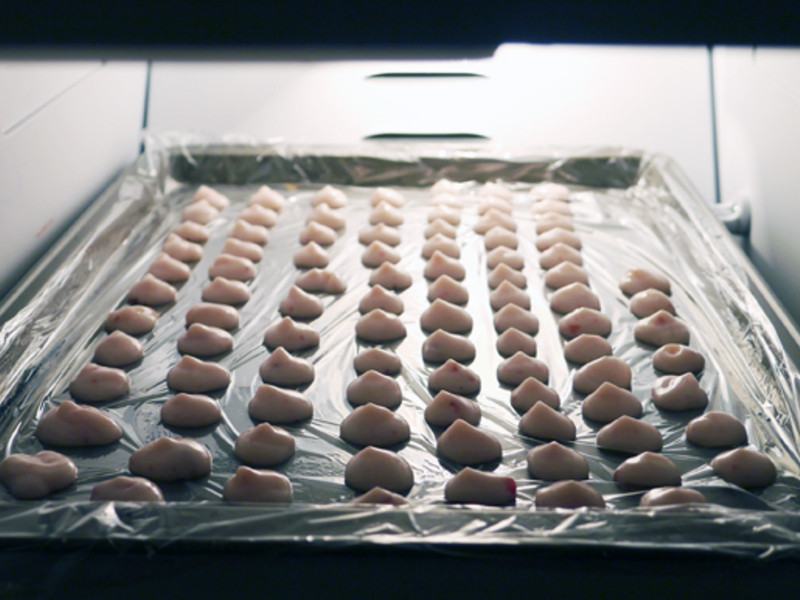 һ���Ÿ������óԵı����Ÿ��������