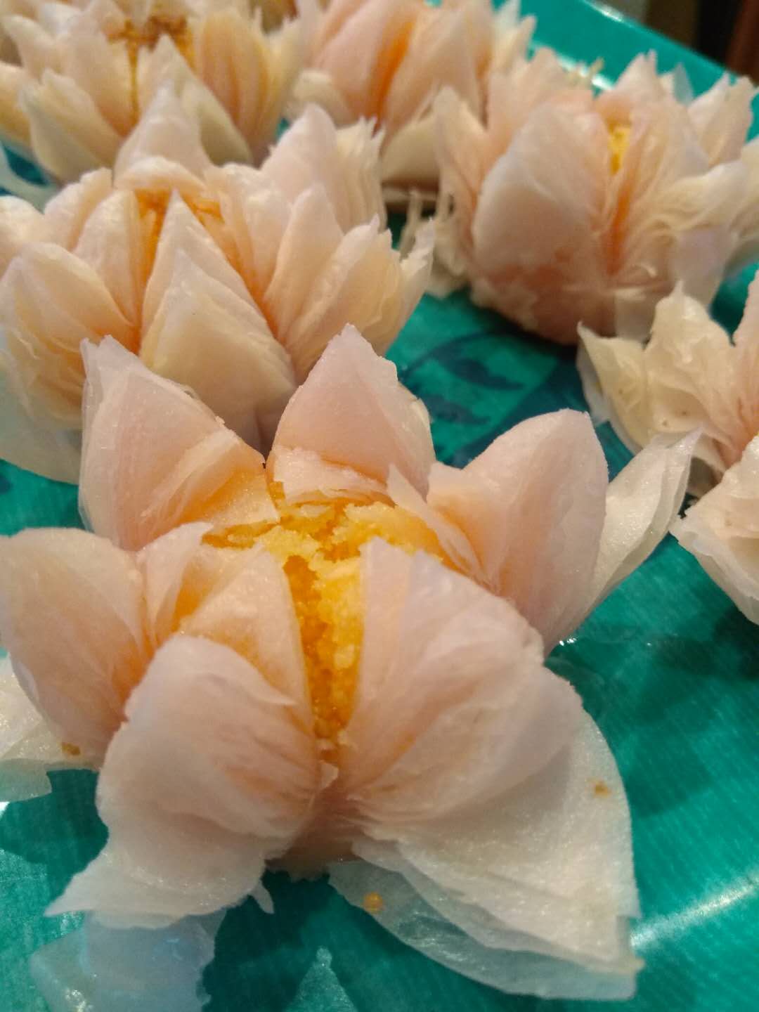 ��͢���ɻ��ֵ�����