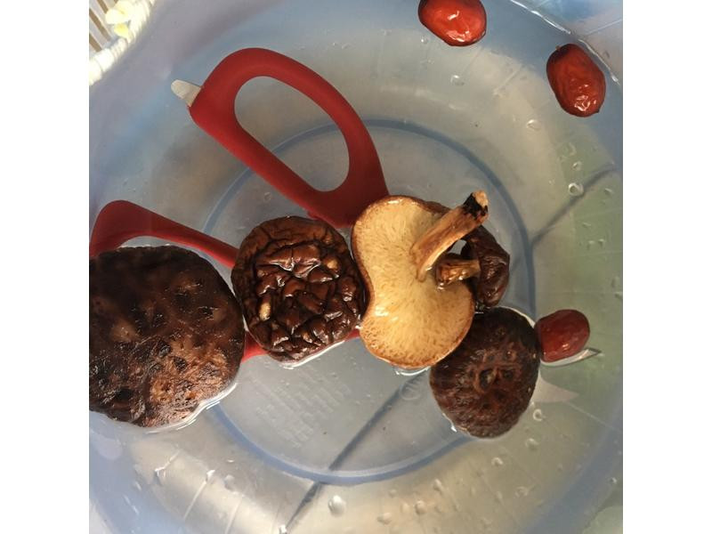 ±ţ�����������