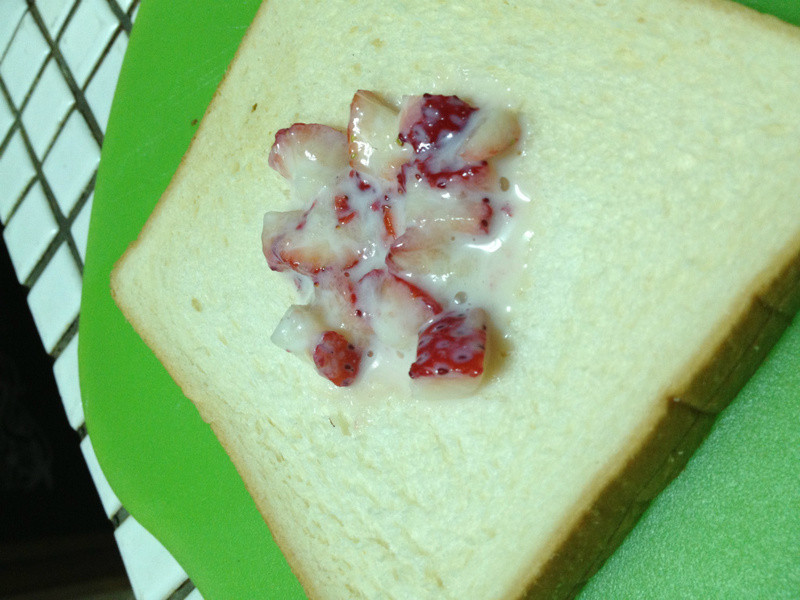 ����ݮ�Ͱ�ӥ�����̡��������̲�ݮ�е�����