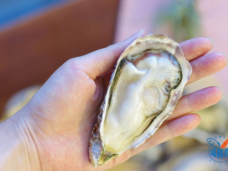 �⿾�����ϖ������