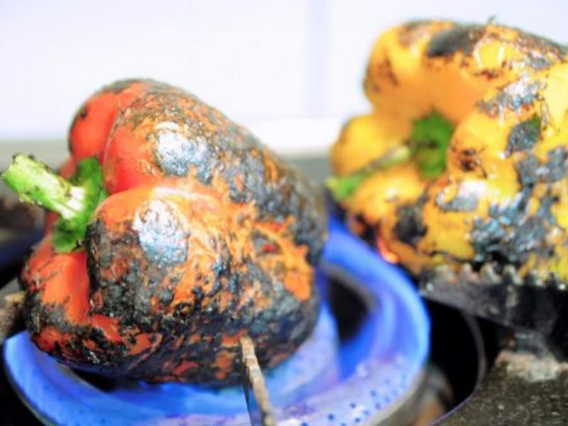 ��ʽ�����𽷵�����