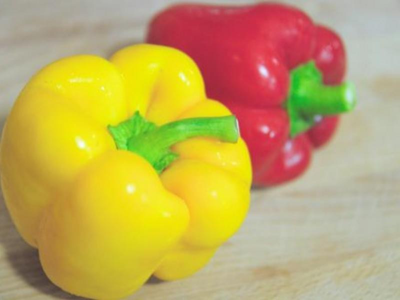 ��ʽ�����𽷵�����