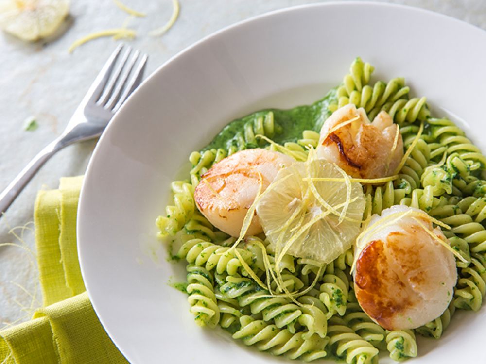 �����������������ӵ�����