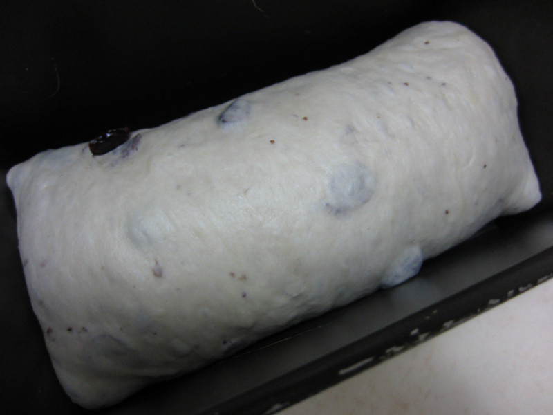 ?�ҵ���������? ��Խݮ��˾������