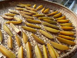 �����ɵ�����