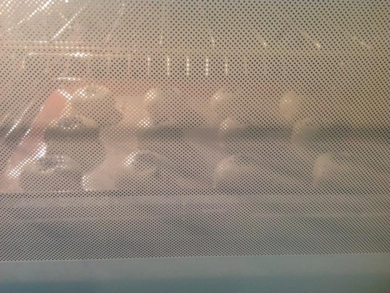 ����Ȼ�ع�ެ����-α������?!!!������