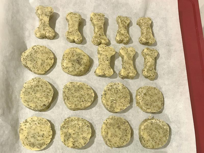 ���ǰ�����ɵ�����