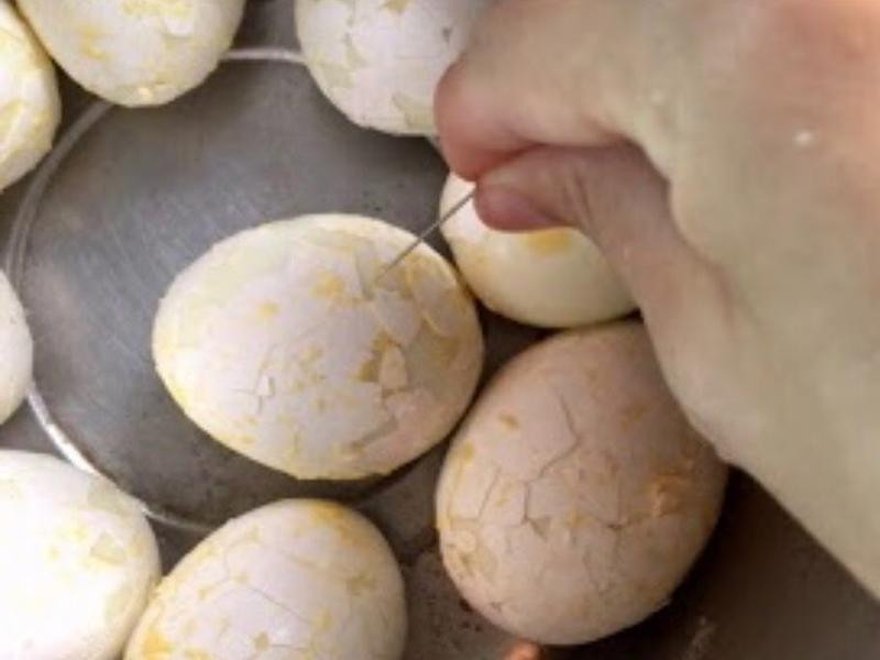 �㹽��Ҷ��������