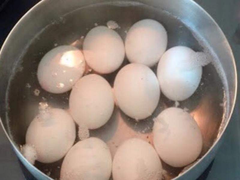 �㹽��Ҷ��������