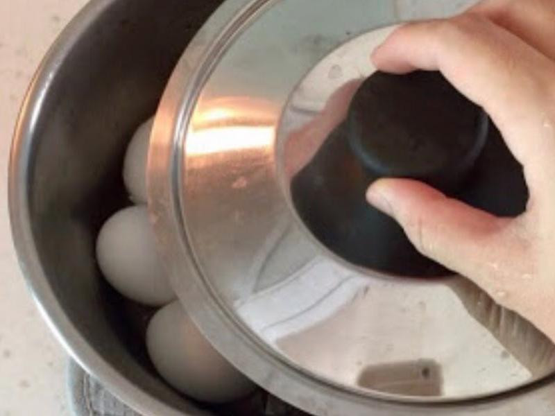 �㹽��Ҷ��������