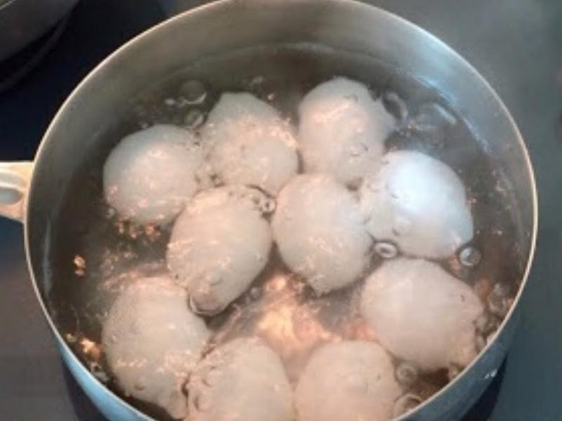 �㹽��Ҷ��������