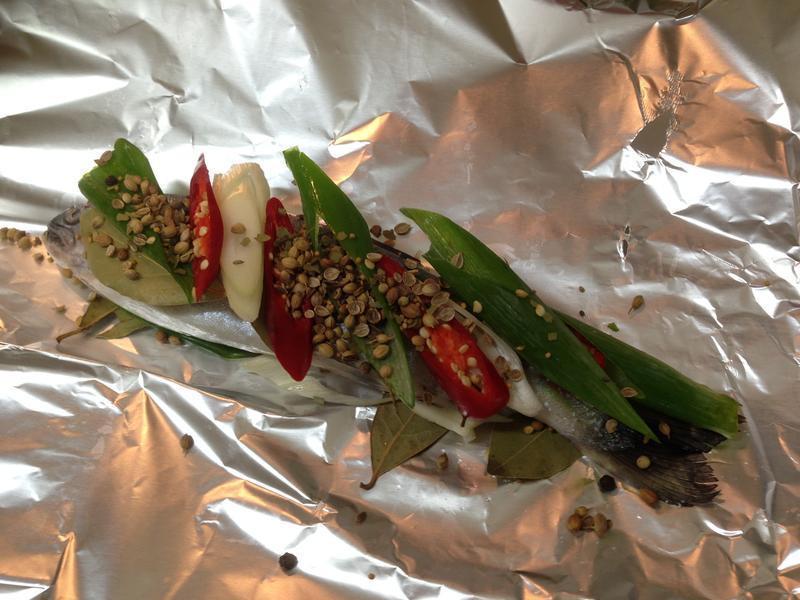 ���Ͽ���~�����Ϳ���������������