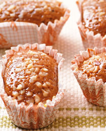 �������������