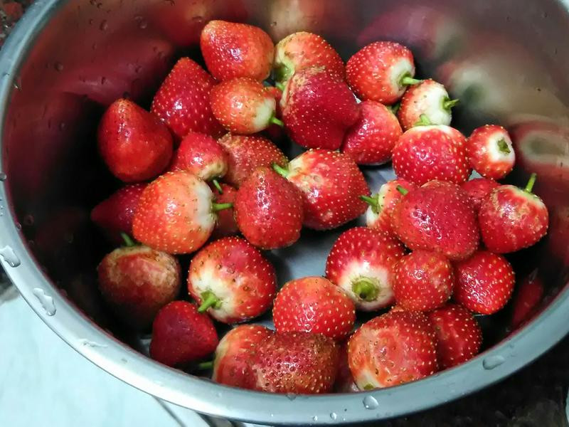 �������ݮ����������