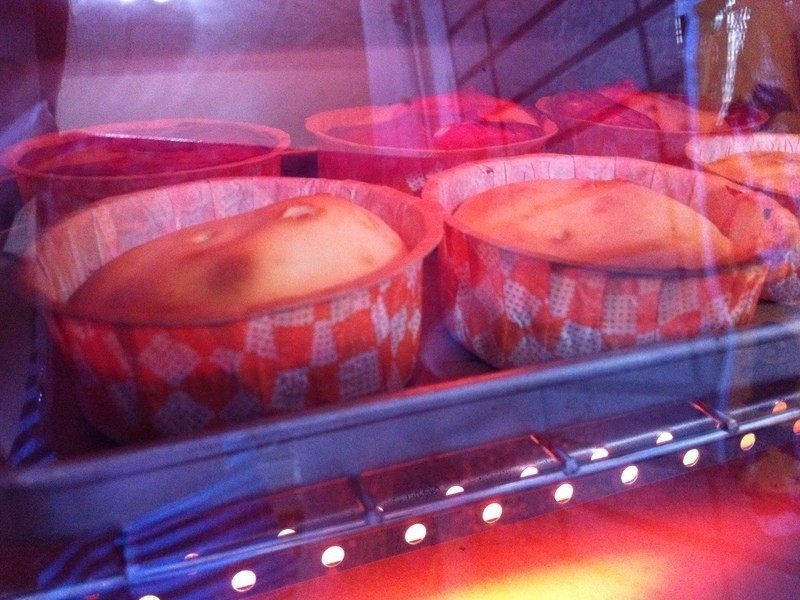 ���������~�����ɱ�&��Խݮ�ɱ�������