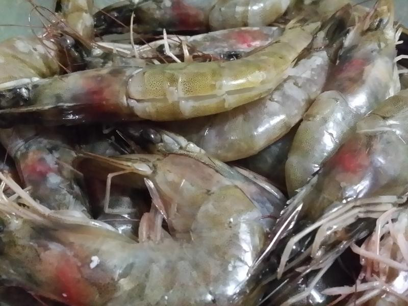 �ƽ�ɳϺ������