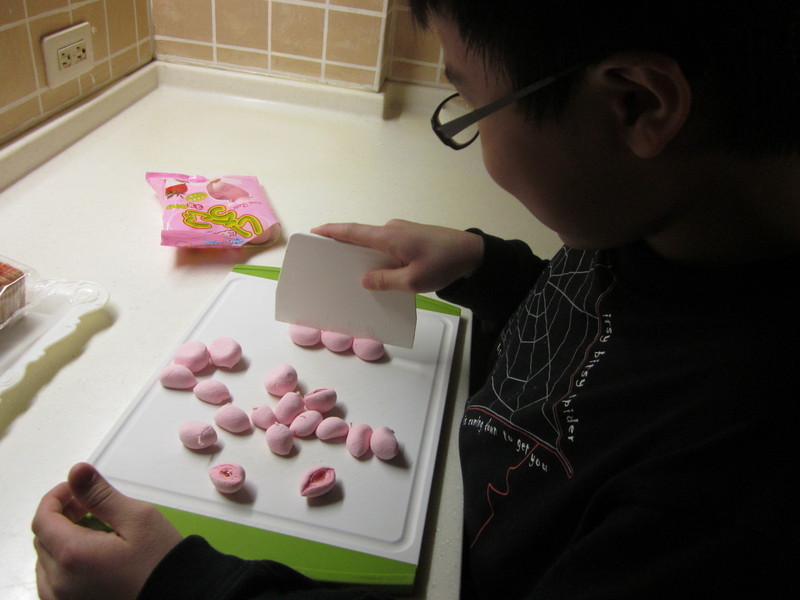 ��ݮ����ţ����������