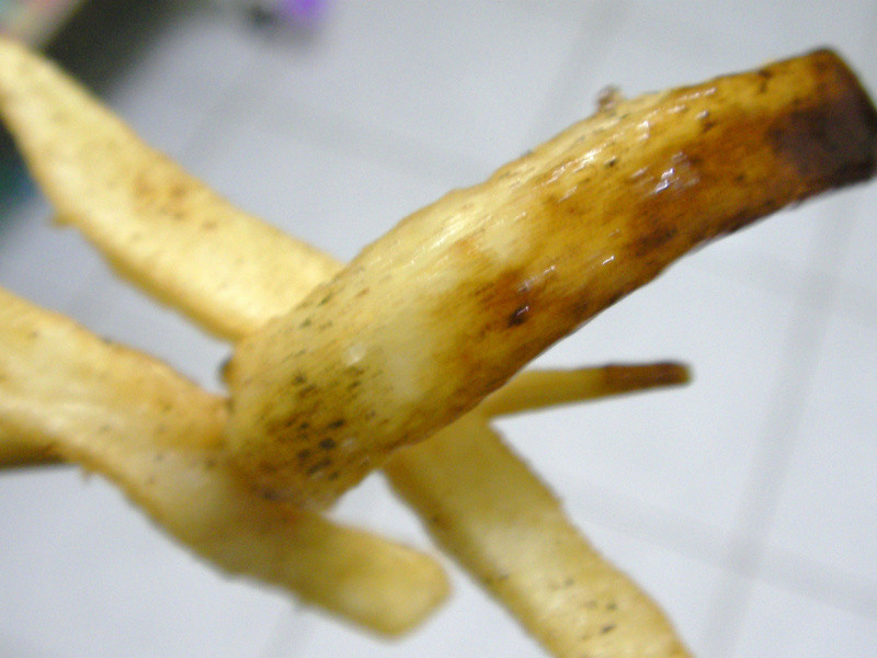 [ ÷״Ԫ�´���÷�� ] ÷������   ÷��֭������