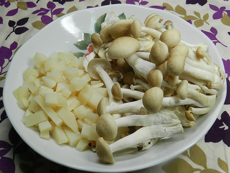 [�±���������]~â�������������