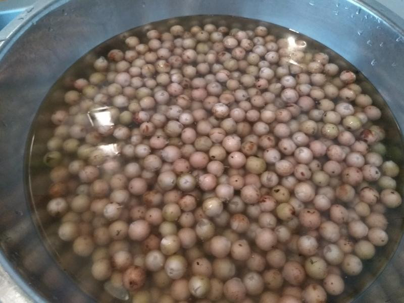 ���ƽ����Ʋ��ӵ�����