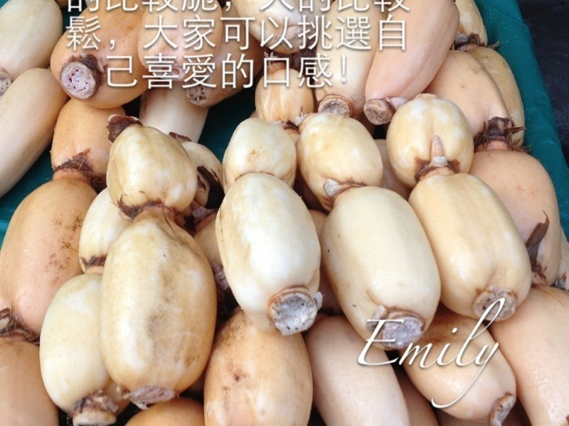 ����Ǵ���ź������