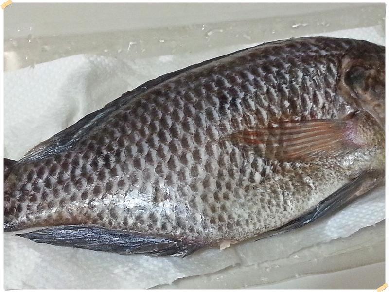 ̨ʽ�Ǵ��������