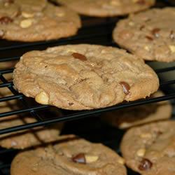 �ɿ������������������