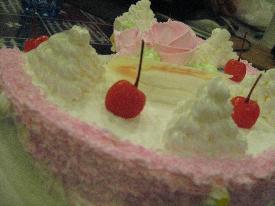 ���������������������˿��������