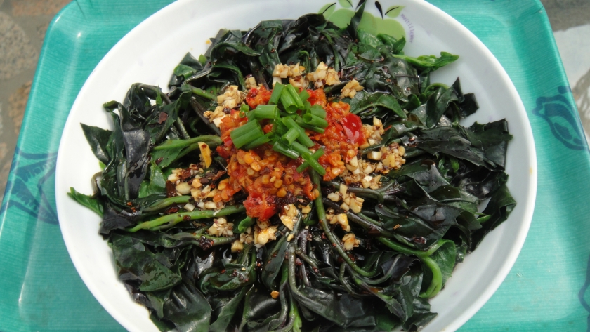 ����ѪƤ�ˣ��������ַ���������