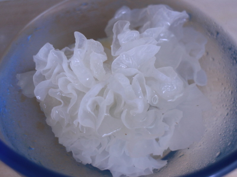 ����ѩ��������������